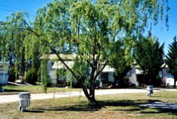Blue Topaz Caravan Park & Camping Ground - Holiday Adelaide 0