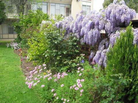 Capri Lodge Apartments - Holiday Adelaide 2