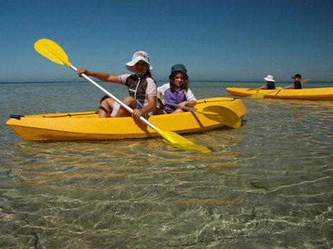 Ceduna Shelly Beach Caravan Park - Holiday Adelaide 4