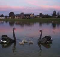 Mansfield Holiday Park - Holiday Adelaide
