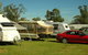 Crocodile Caravan  & Camping Park - thumb 0