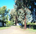 Cudal Caravan Park - Holiday Adelaide