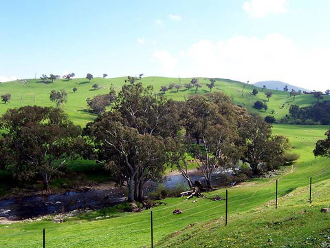 Elm Cottage - Tumut - Holiday Adelaide 4