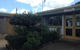 Gympie Caravan Park - Queens Park - thumb 3
