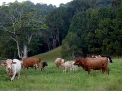 Mooyabil Farm Holidays - Holiday Adelaide 3