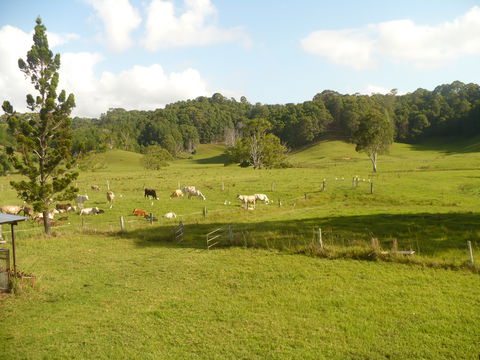 Mooyabil Farm Holidays - Holiday Adelaide 6