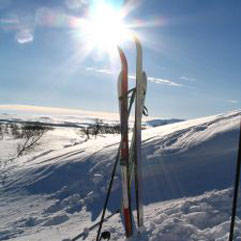 Parallel Apartments - Holiday Adelaide 2