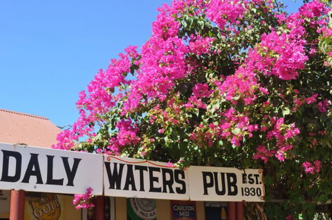 Daly Waters Historic Pub - Holiday Adelaide 7