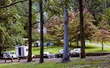 Dingo Tops Campground - Holiday Adelaide 1