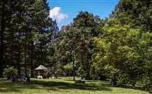 Dingo Tops Campground - Holiday Adelaide 2