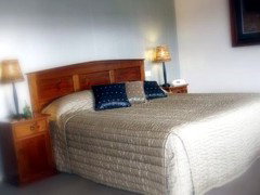 Saltbush Motor Inn - Holiday Adelaide 4