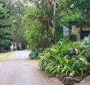 Tamborine Mountain Caravan  Camping - Holiday Adelaide
