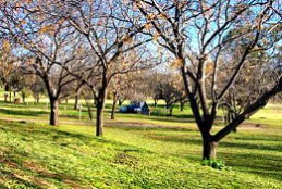 Wellington Caves Caravan Park - Holiday Adelaide 0