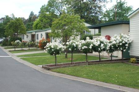 Wodonga Caravan & Cabin Park - Holiday Adelaide 0