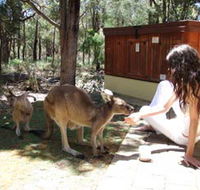 Yelverton Brook Eco Spa Retreat and Conservation Sanctuary - Holiday Adelaide