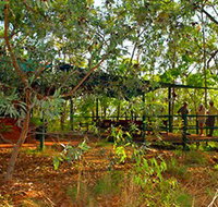 Arnhemland Barramundi Nature Lodge - Holiday Adelaide