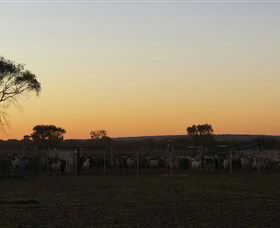 Goodwood Stationstay - Holiday Adelaide 1