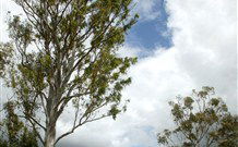 Glen Villa Resort And Tourist Park Casino - Holiday Adelaide 0