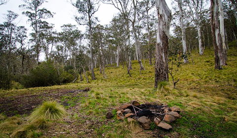 Gummi Falls Campground - Holiday Adelaide 0