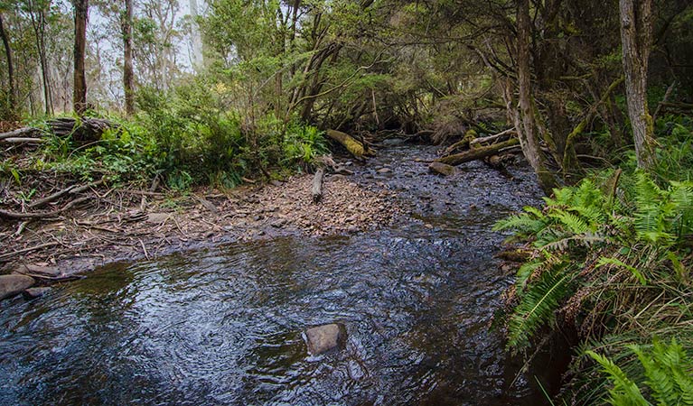 Moonan Brook NSW Holiday Adelaide