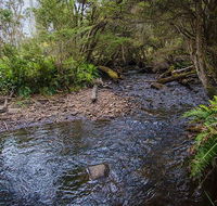 Horse Swamp campground - Holiday Adelaide