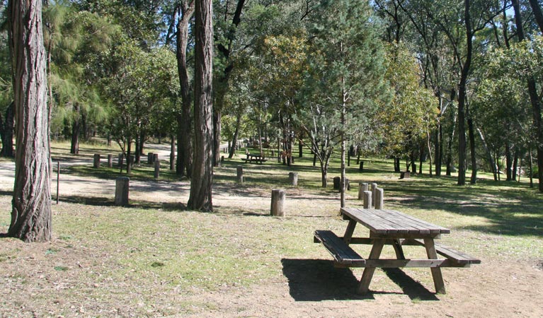 Atholwood NSW Holiday Adelaide