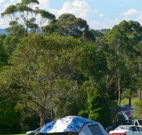 Milton Valley Holiday Park - Holiday Adelaide