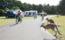 Murramarang Beachfront Nature Resort - Holiday Adelaide 4