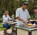 Port Stephens Treescape - Holiday Adelaide