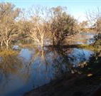 Warrawong on the Darling - Holiday Adelaide