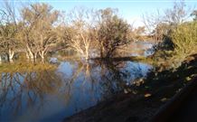 Warrawong On The Darling - Holiday Adelaide 0