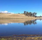 Bombala Maneroo Motel - Bombala - Holiday Adelaide