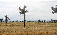 Gulargambone NSW Holiday Adelaide