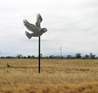 Gulargambone Hotel - Gulargambone - Holiday Adelaide