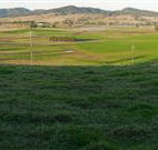 Leconfield House - Leconfield - Holiday Adelaide