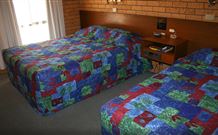 Newell Motor Inn - Narrandera - Holiday Adelaide 1