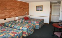 Newell Motor Inn - Narrandera - Holiday Adelaide 4
