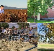 Southern Cross Motor Inn - Holiday Adelaide