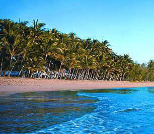 Novotel Palm Cove Resort - Holiday Adelaide 1