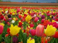 Golfview Lodge - Holiday Adelaide 0