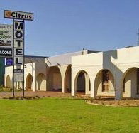 Citrus Motel - Holiday Adelaide