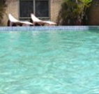Toreador Motel - Coffs Harbour - Holiday Adelaide