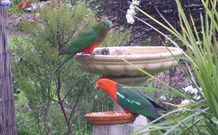 Valley View Motel Murrurundi - Murrurundi - Holiday Adelaide 4