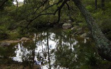 Palm Grove NSW Holiday Adelaide