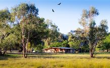 Starline Alpaca Farm Stay - Holiday Adelaide 2