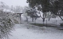 Tirrintippin - Holiday Adelaide 0