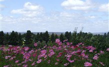 Cruickshanks Armidale Bed And Breakfast - Holiday Adelaide 4