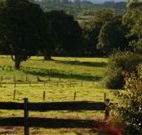 Pines on the Plateau - Holiday Adelaide