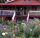 Rose Patch Bed and Breakfast - Holiday Adelaide