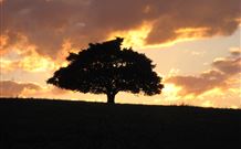 Silos Estate - - Holiday Adelaide 3